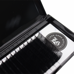 Extended Length Lashes (New Collection) - Lash Gang Official